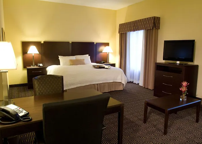 Hampton Inn & Suites Orlando - John Young Pkwy / S Park